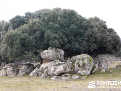 Puentes del Río Manzanares;programa de actividades senderismo;mejor calidad